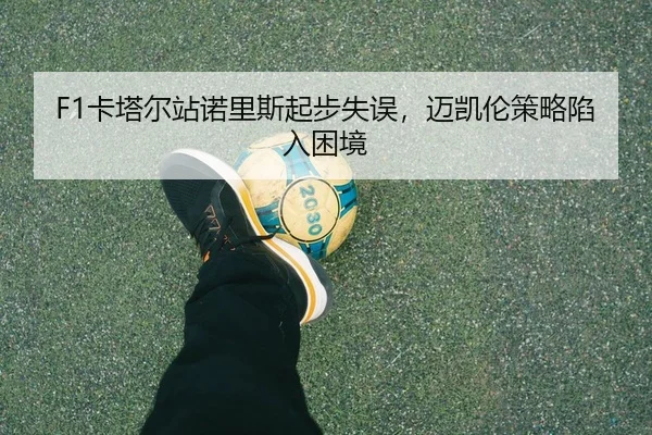 F1卡塔尔站诺里斯起步失误，迈凯伦策略陷入困境